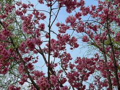 -梁鸿国家湿地公园