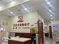 -艾贝尔宠物诊疗