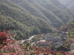 -四明山国家森林公园
