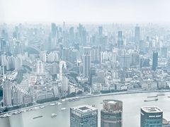 -上海柏悦酒店·世纪100牛排馆