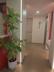 -阅年轻·AI家庭健康体质调理