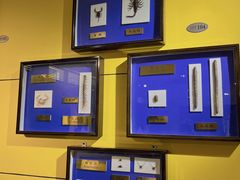 -上海昆虫博物馆