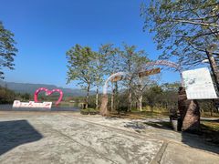 -田野绿世界
