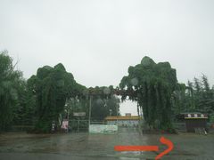 -黄河富景生态世界