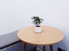 用餐区-Onirii Coffee(长乐路店)