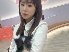 -猪盟咖啡店(玖洲道店)