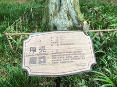 -太湖饭店玉兰厅(自助餐厅)