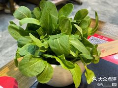 -最牛喜事潮汕鲜牛肉火锅(和平里店)