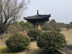 -宜春禅都文化博览园