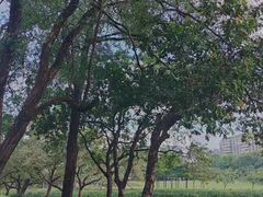 -深圳龙潭公园