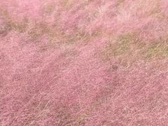 -BHG生活超市(安贞店)