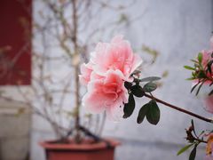 -乌山风景区