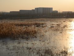-东郊湿地公园