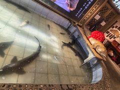 -胖姐渔村(中源大道店)