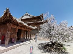 -瞿昙寺