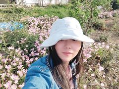 -秀丽东方