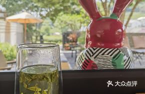 Single Serving Lushan Longjing Tea
