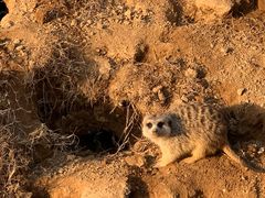 -杭州野生动物世界