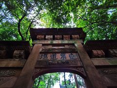 -缙云山景区