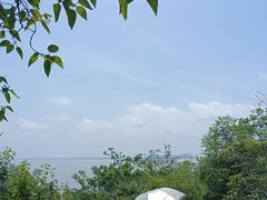 -巢湖姥山岛