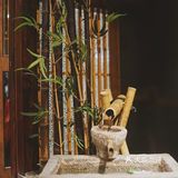 广州探店｜天河北不得不吃的日式🥩烧肉店🇯🇵