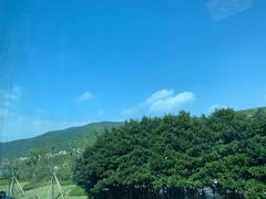 -金海湾海鲜排档(朱家尖店)
