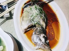 -张记旺角食街(动物园店)