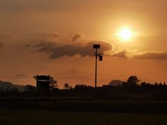 -海南霸王岭国家森林公园