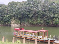 -黄椅山火山森林公园