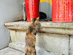 -龙华寺