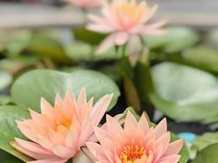 -坂田手造文化街