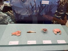 -上海中国航海博物馆