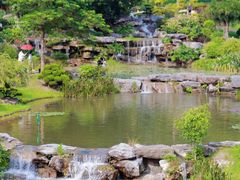 -东莞植物园