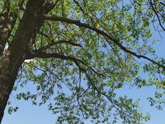 -盘龙城国家考古遗址公园