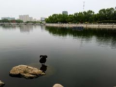 -长春世界雕塑园冰雪艺术天地