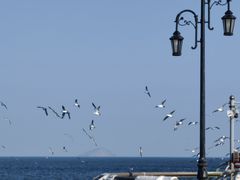 -大连海昌东方水城