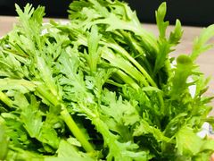 茼蒿-老鼎旺安格斯牛肉火锅(衡艺广场店)