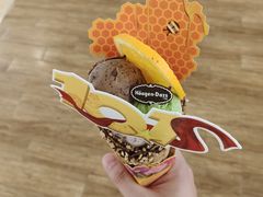 -哈根达斯(龙湖时代天街店)