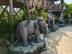 -呀路古热带植物园