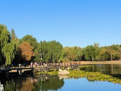 -群力丁香公园