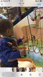 点击看大图 -卡通尼·Safari非洲探索乐园·生日会(金桥国际商业广场店)