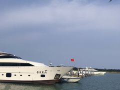 -日照海滨国家森林公园
