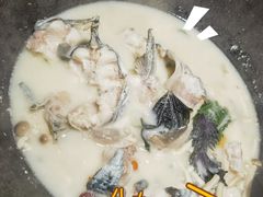 -鲜潭蒸汽石锅鱼(五道口购物中心店)