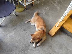 -隹木咖啡馆(宝龙广场店)