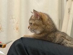 -艾贝尔宠物医院·狂犬免疫点(江山金象城店)