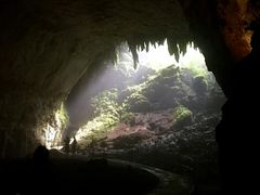 -维乐口腔医院(星海湾分院)