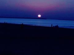 -金梦海湾浴场