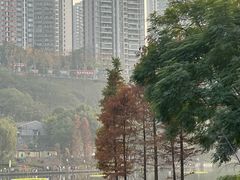-重庆彩云湖湿地公园
