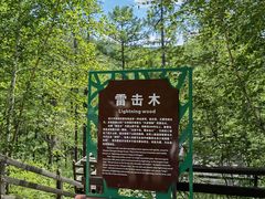 -莫尔道嘎国家森林公园