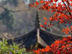 -四明山国家森林公园